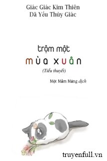 Trộm Một Mùa Xuân