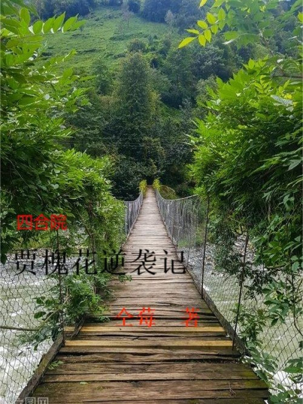 Tứ Hợp Viện: Cổ Hòe Hoa Nghịch Tập Ký